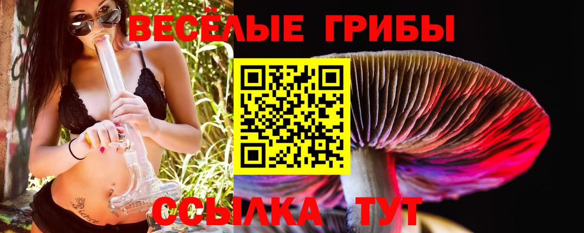 Псилоцибиновые грибы GOLDEN TEACHER Ялуторовск